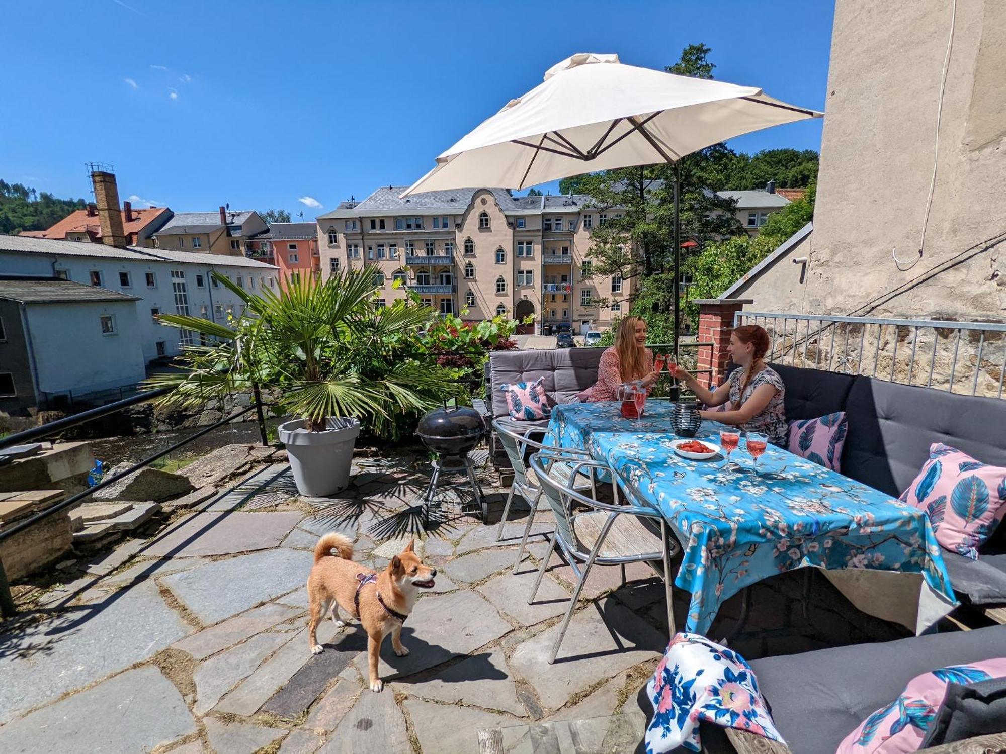 Uo2 - Urlaubsmagie - Garten, Whirlpool, Sauna Leilighet Sebnitz Eksteriør bilde